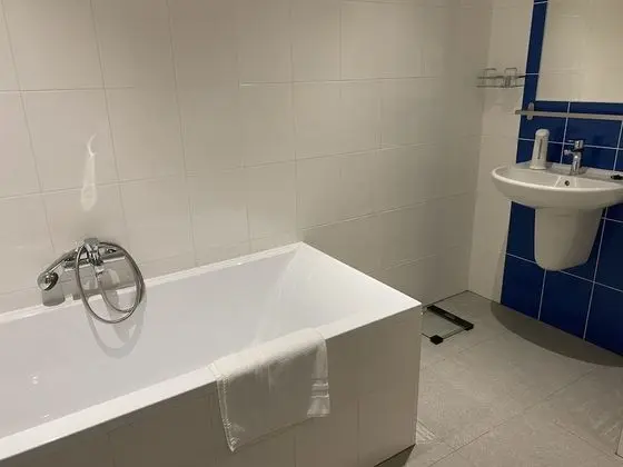 Superior Tek Büyük Yataklı Oda, 1 Yatak Odası, Park Manzaralı