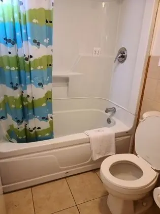 Deluxe Tek Kişilik Oda