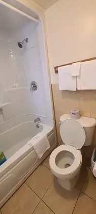Deluxe Tek Kişilik Oda