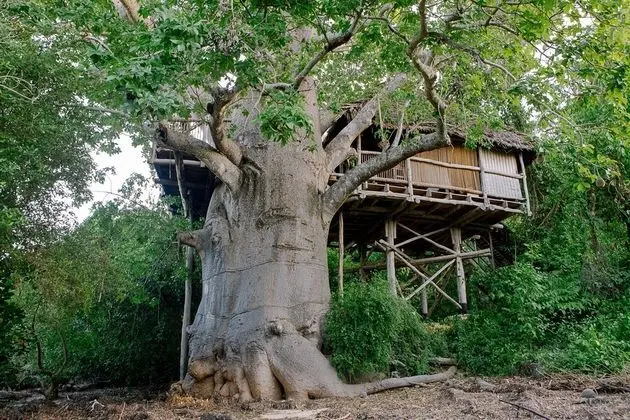 Honeymoon Ağaç Ev, 2 Yatak Odası