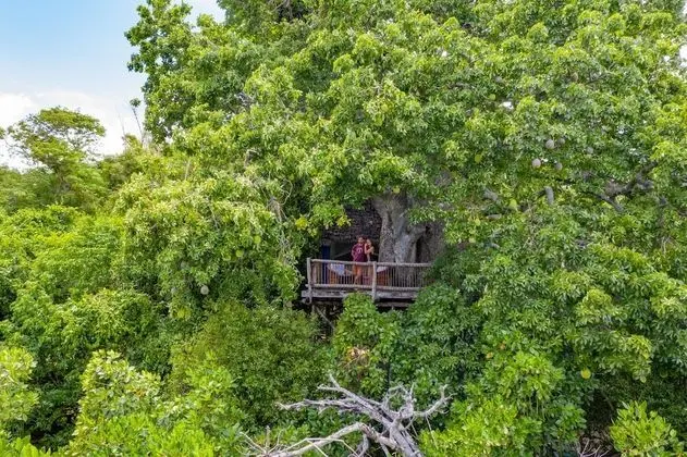Honeymoon Ağaç Ev, 2 Yatak Odası