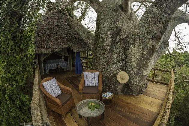 Honeymoon Ağaç Ev, 2 Yatak Odası