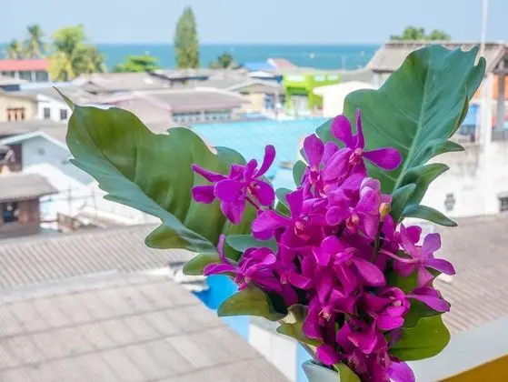 Superior Tek Büyük Yataklı Oda, Balkon