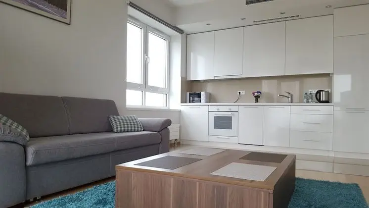 Apart Daire, 1 Yatak Odası