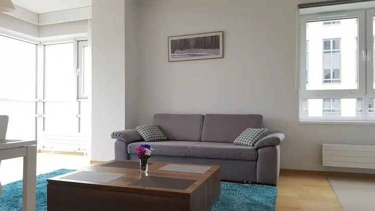 Apart Daire, 1 Yatak Odası