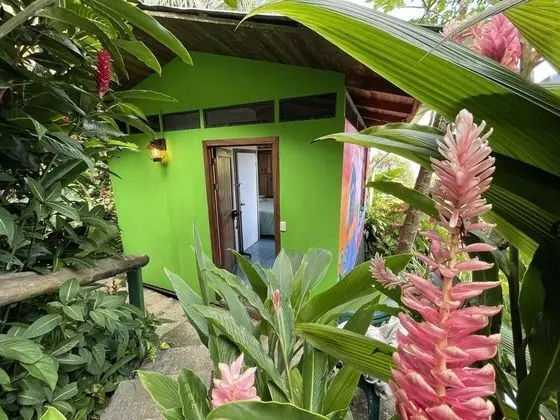 Panoramic Tek Büyük Yataklı Oda, 1 Yatak Odası, Okyanus Manzaralı