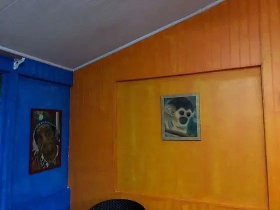 Panoramic Kulübe, 1 Yatak Odası, Teras