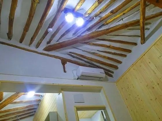 Traditional İki Ayrı Yataklı Oda, Özel Banyo, Bahçeli