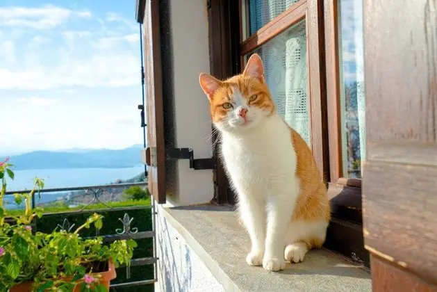 Classic Ev, Şömine, Deniz Manzaralı