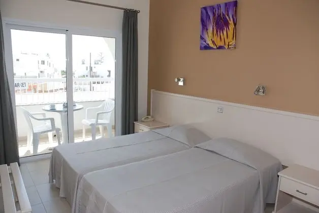 Standard Apart Daire, 1 Yatak Odası