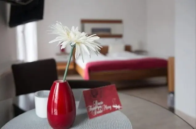 Tek Büyük Yataklı Oda (Zimmer 10)