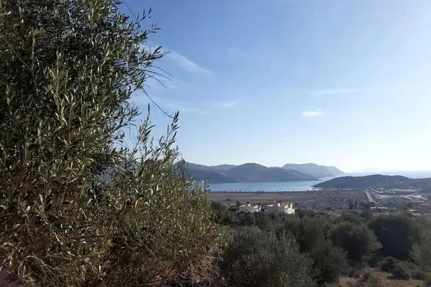 Superior Villa