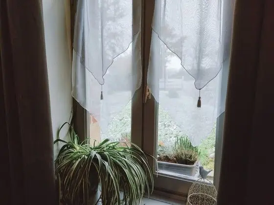 Classic Tek Büyük Yataklı Oda, Bahçe Manzaralı (La Dinotière.)