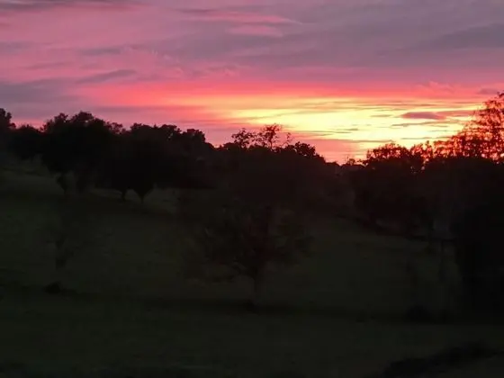 Comfort Karavan, Bahçe Manzaralı (des Dinots)