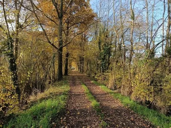 Comfort Karavan, Bahçe Manzaralı (des Dinots)