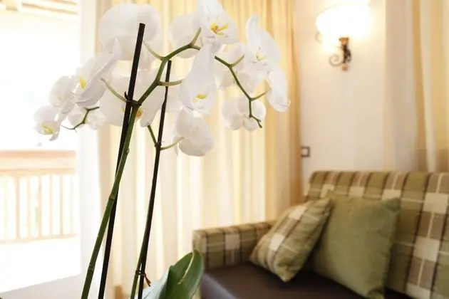 Comfort Apart Daire, 1 Yatak Odası