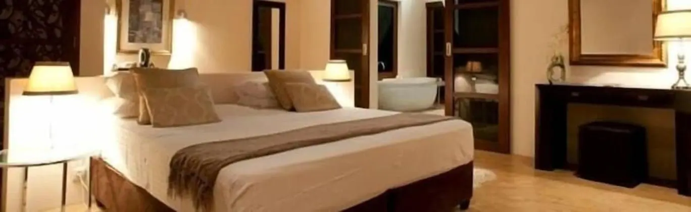 Deluxe Tek Kişilik Oda, 1 En Büyük (King) Boy Yatak, Sigara İçilmez