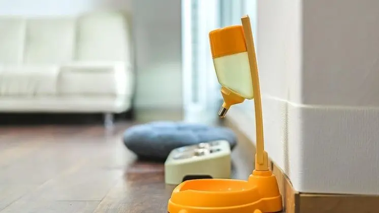 Basic Oda, 1 Yatak Odası (r-102 (SPA))