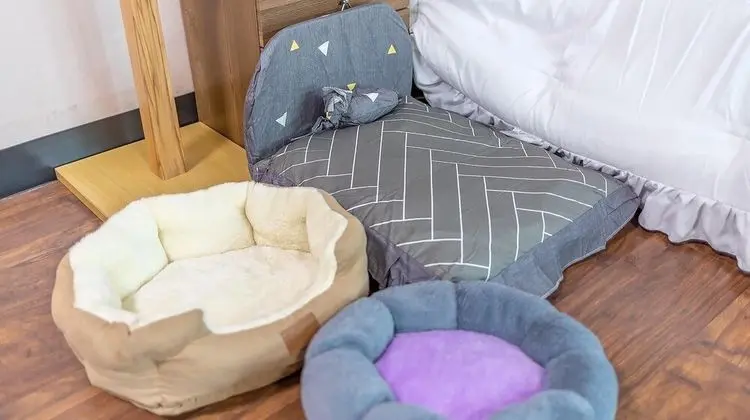 Basic Oda, 1 Yatak Odası (r-102 (SPA))