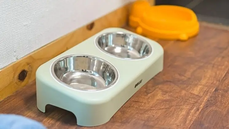 Basic Oda, 1 Yatak Odası (r-102 (SPA))