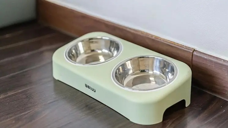 Basic Oda, 2 Yatak Odası (r-301+302 (VIP))