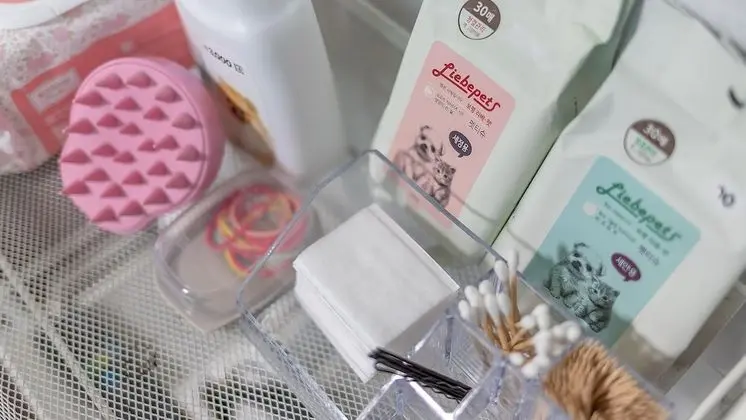 Basic Oda, 2 Yatak Odası (r-301+302 (VIP))