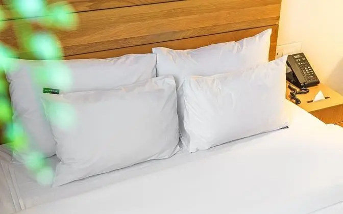 Oda (Deluxe double breakfast included (dou)