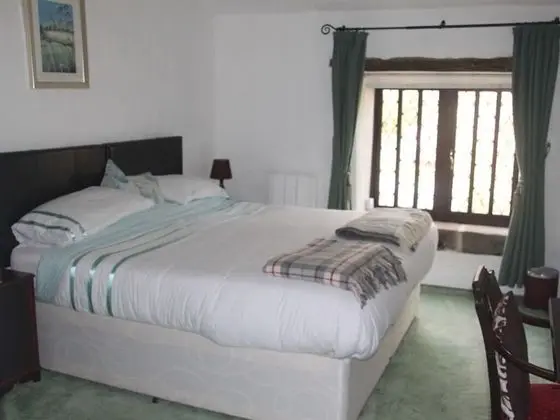 Standard Tek Büyük Yataklı Oda, Banyolu/Duşlu (Shower)