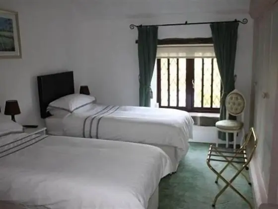 Standard Tek Büyük Yataklı Oda, Banyolu/Duşlu (Shower)