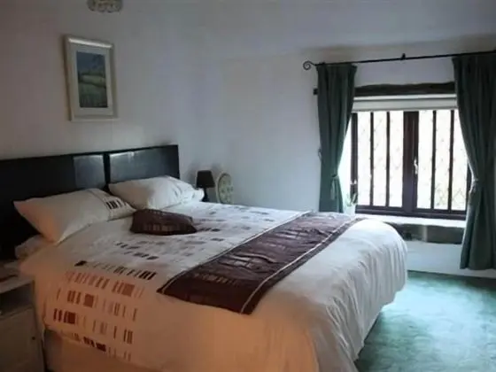 Standard Tek Büyük Yataklı Oda, Banyolu/Duşlu (Shower)