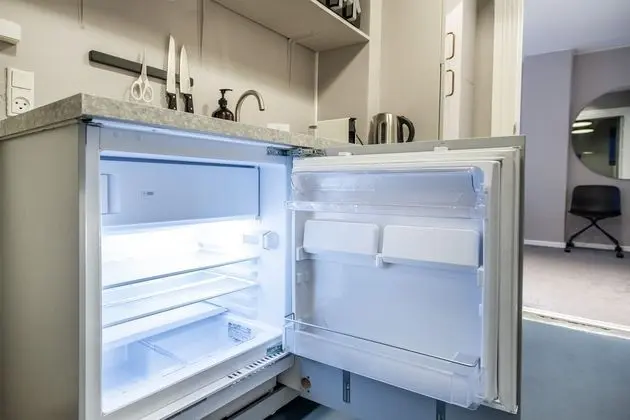 Mini Buzdolabı