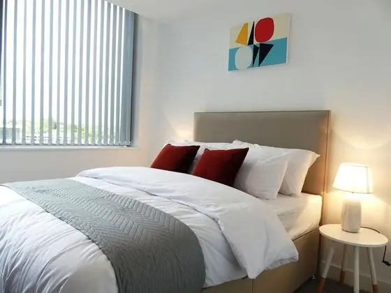 Deluxe Apart Daire, 1 Yatak Odası, Şehir Manzaralı
