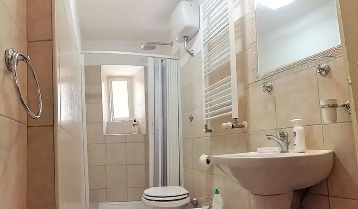 Tek Büyük Yataklı Oda, 1 Yatak Odası, Sigara İçilebilir, Ortak Banyo