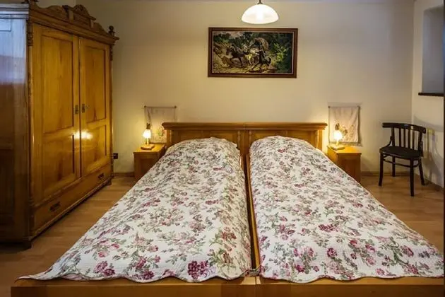 Tek Büyük Yataklı Oda, Birden Çok Yatak, Sigara İçilmez