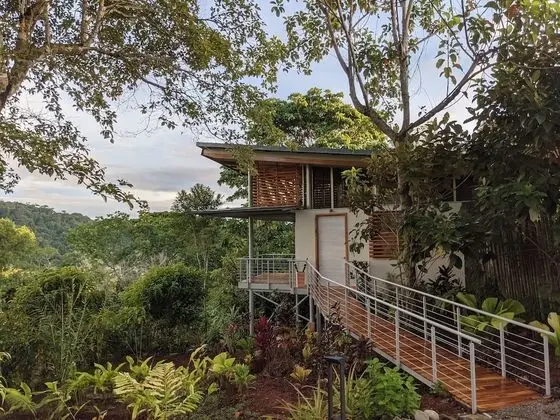 Canopy Suite