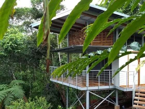 Canopy Suite