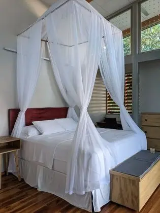 Canopy Suite
