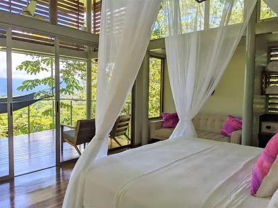 Canopy Suite