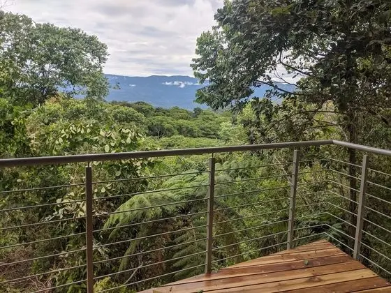 Canopy Suite