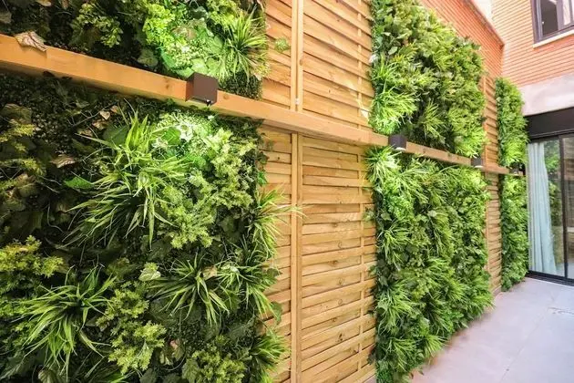 Comfort Stüdyo, Şehir Manzaralı