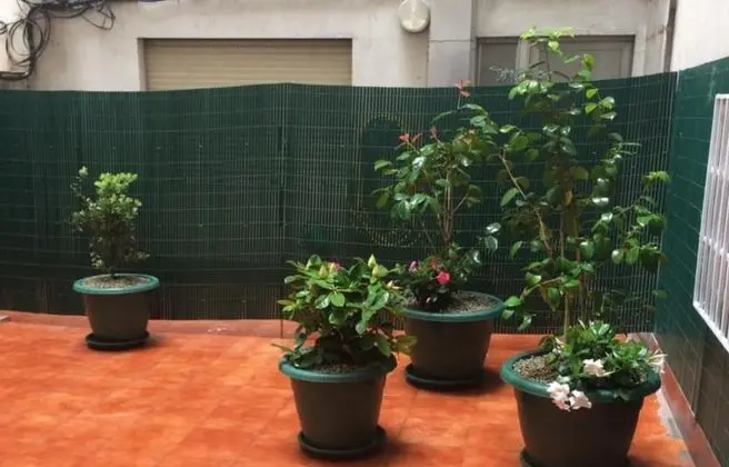 Comfort Apart Daire, 2 Yatak Odası, Balkon