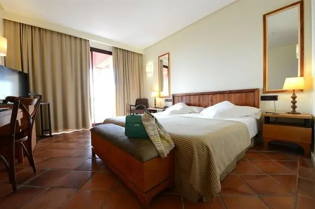 Standard Tek Büyük veya İki Ayrı Yataklı Oda, Teras, Şehir Manzaralı