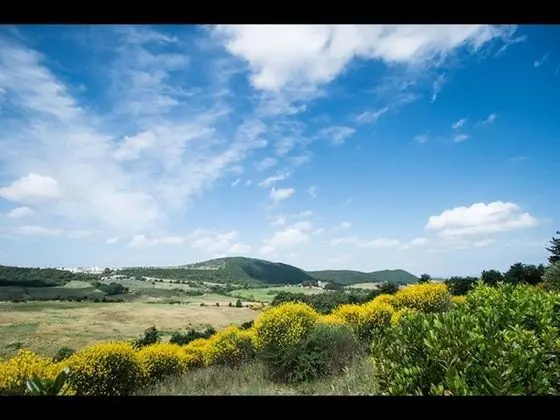 Apart Daire, 2 Yatak Odası, Balkon