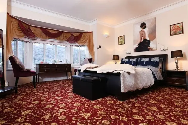 Luxury Tek Büyük Yataklı Oda, 1 En Büyük (King) Boy Yatak