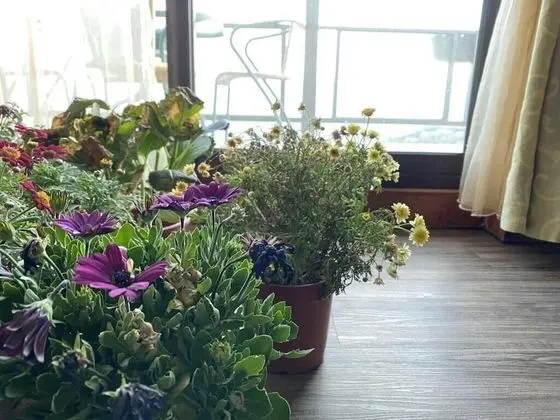 Dört Kişilik Oda, Balkon