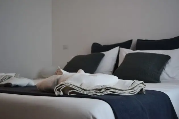 Luxury Tek Büyük Yataklı Oda, Sigara İçilmez, Şehir Manzaralı