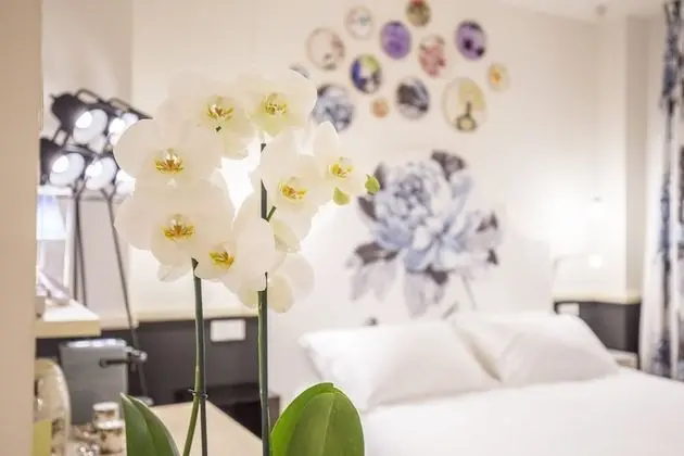 Basic Süit, Engellilere Uygun, Banyolu/Duşlu