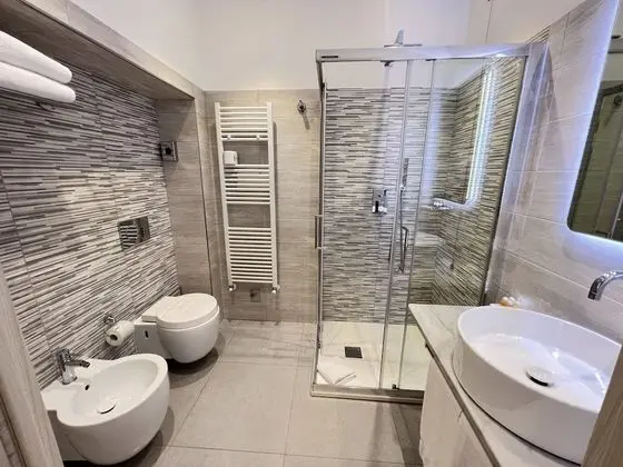Deluxe Tek Büyük veya İki Ayrı Yataklı Oda (no. 51)