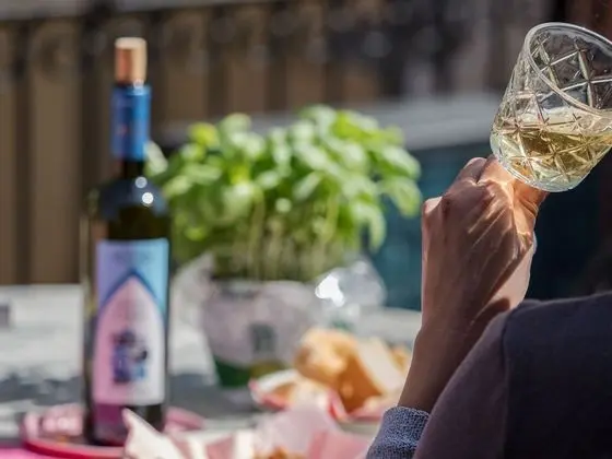 Comfort Dubleks, 2 Yatak Odası, Teras