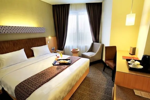 Deluxe Tek Kişilik Oda, 1 Çift Kişilik Yatak, Şehir Manzaralı